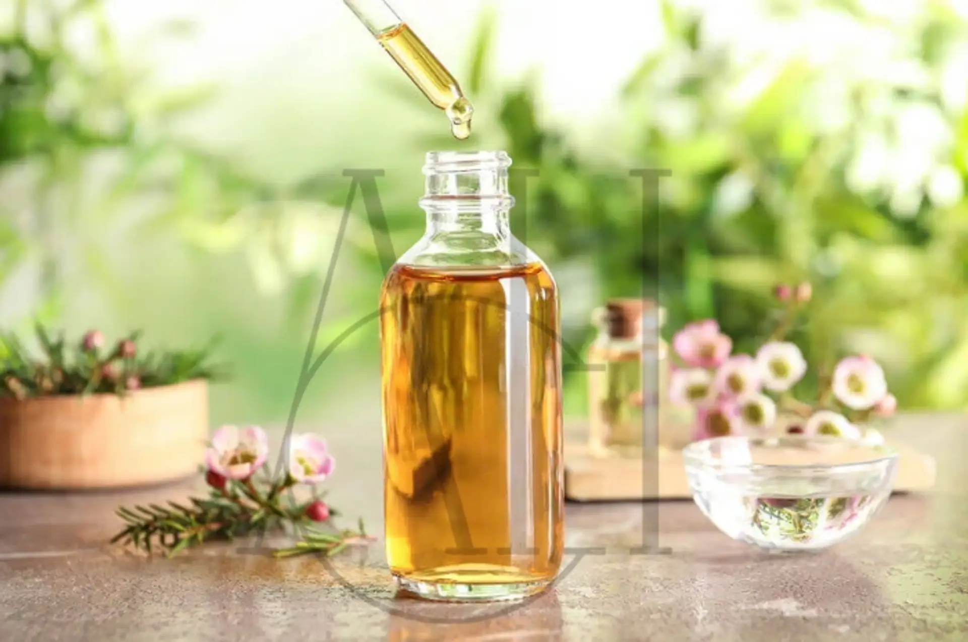 tea tree oil for hair