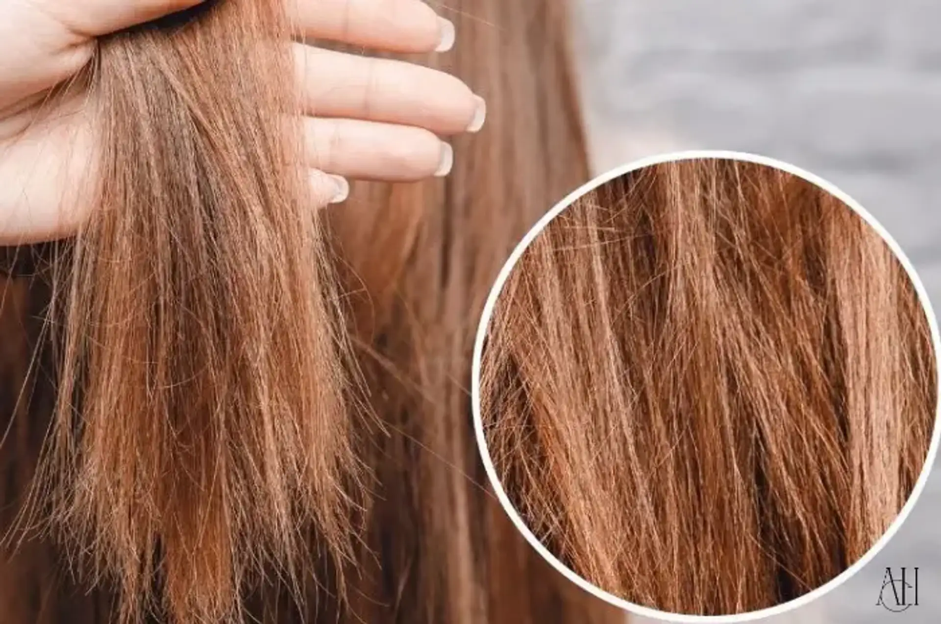 repair broken hair