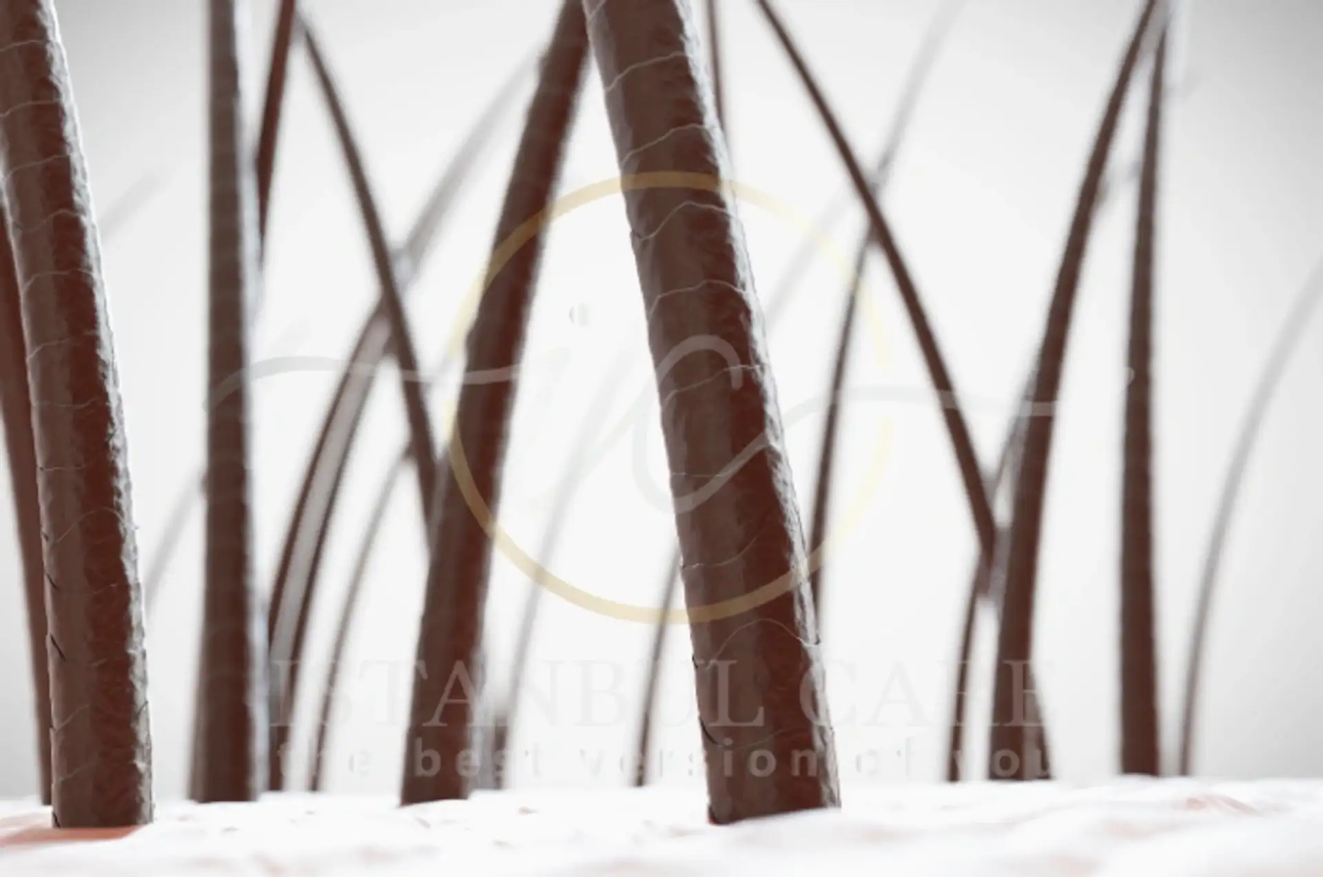Hair shaft structure